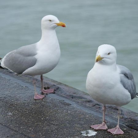 Le Galet Apartman Dieppe Kültér fotó